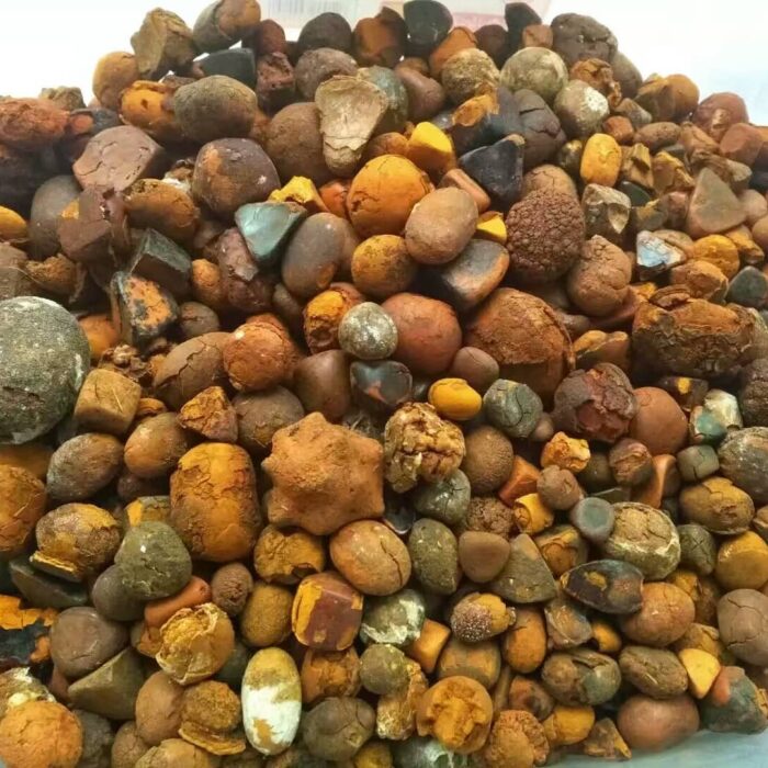 Ox Gallstones - Image 3