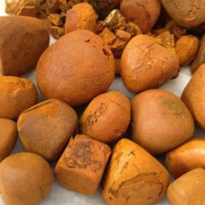 Ox Gallstones