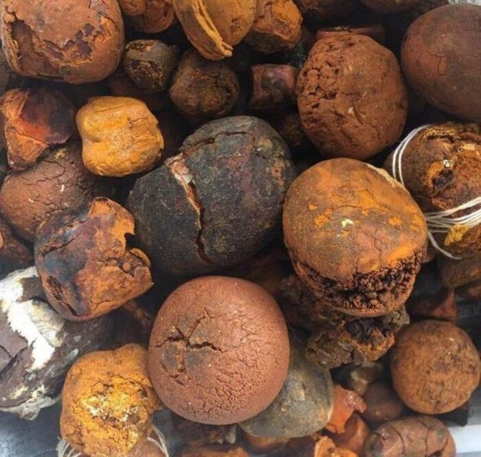 Ox Gallstones - Image 5