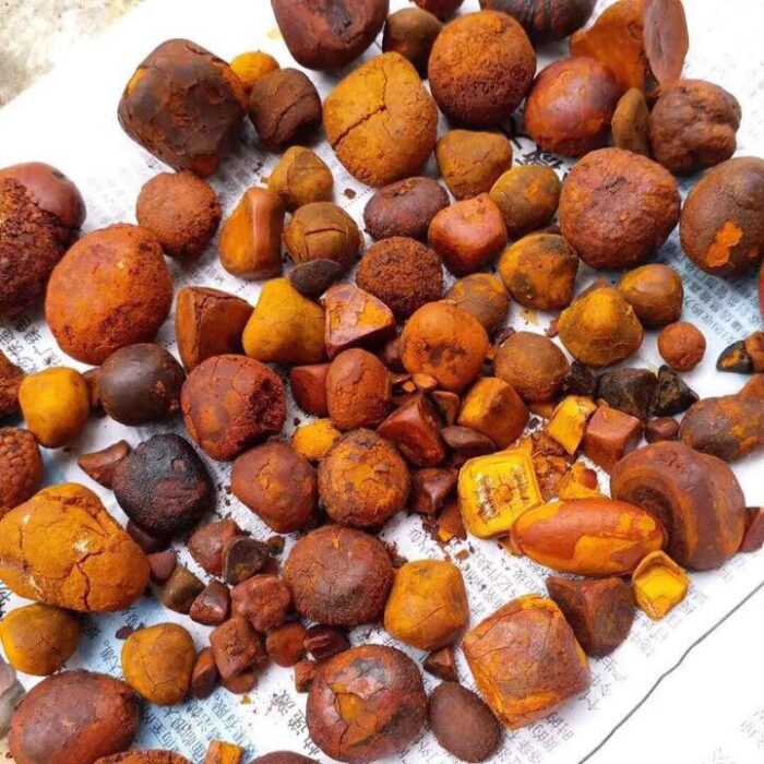 Ox Gallstones - Image 2