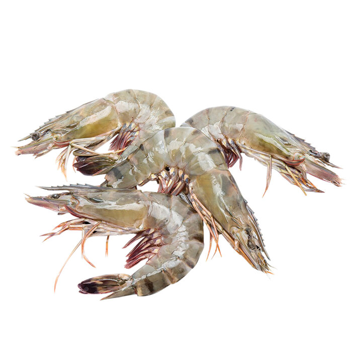 Frozen Shrimps - Image 4